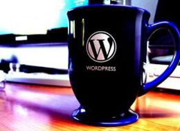 San Diego WordPress Designers