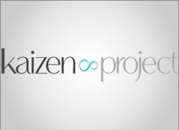 the-kaizen-project the-kaizen-project